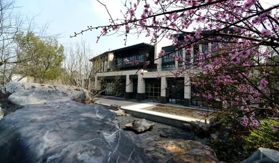 大豪山林